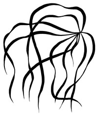 Hand drawn grass leaves, black outlines, isolated illustration, wedding stationery element