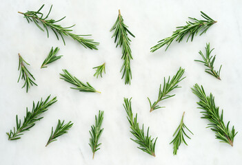 Rosemary twig set on white marble background top view 