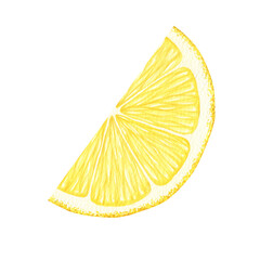 Slice of Lemon fruits. Isolated hand drawn watercolor illustration. Half tropical citrus fruit....