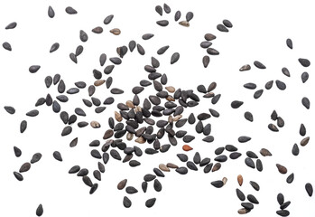Black cumin seeds isolated on white background. Top view.