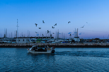 Fishing boats in the port, Ribeira de Bensafrim, Lagos, Algarve, Portugal. Seagulls following the...