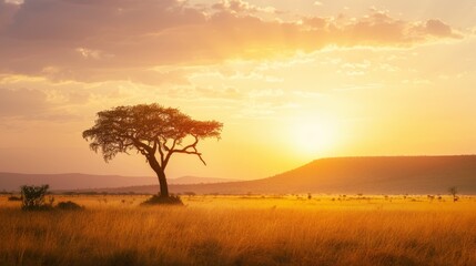 freedom of africa. african liberation day with copy space