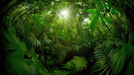 Lush green tropical rainforest with dense foliage and sunlight filtering through the canopy, creating a serene natural atmosphere.
