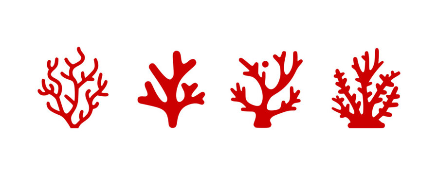 Marine coral vectors
