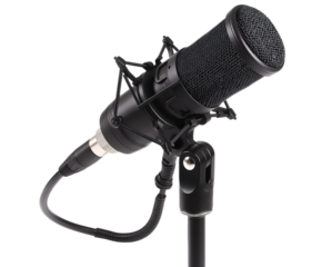 Professional Studio Microphone with Shock Mount Isolated on Transparent Background, cut out. PNG