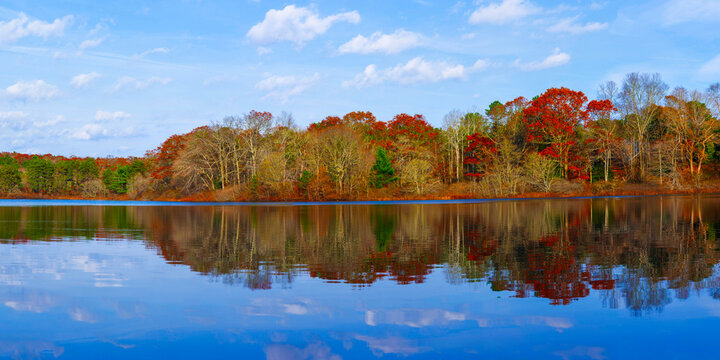 Tranquil Panoramic autumn forest and foliage reflected on a lake at sunrise with cumulus clouds floating in the blue sky: A vibrant beauty on Cape Cod in the fall