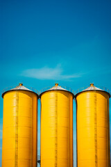 Obraz premium Three yellow silos are standing in row on sunny day.