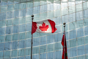 Canadian flag blowing in shadowy (backlight) with limp flag of Ontario on a background of office building windows