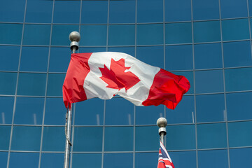 Flag of Canada blowing in the wind on a backdrop of square office windows