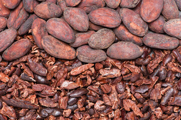 Cocoa beans and cocoa nibs texture background, Chocolate ingredients concept. Top view, flat lay.