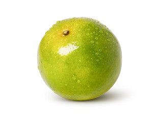 Tangerine orange fruit with water drops isolated on white background with clipping path.