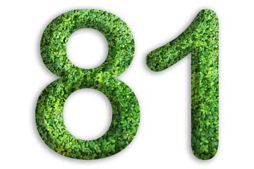 3d of the number of 81 is made from green grass on white background, go green concept