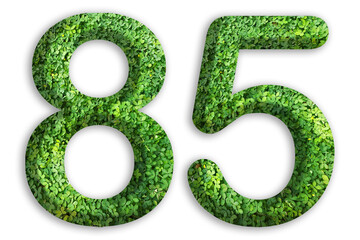3d of the number of 85 is made from green grass on white background, go green concept