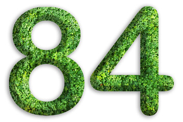 3d of the number of 84 is made from green grass on white background, go green concept