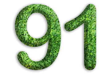 3d of the number of 91 is made from green grass on white background, go green concept