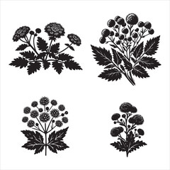 Ageratum  flower silhouette vector icon graphic logo ai generated design