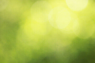 soft blur abstract natural fresh green background