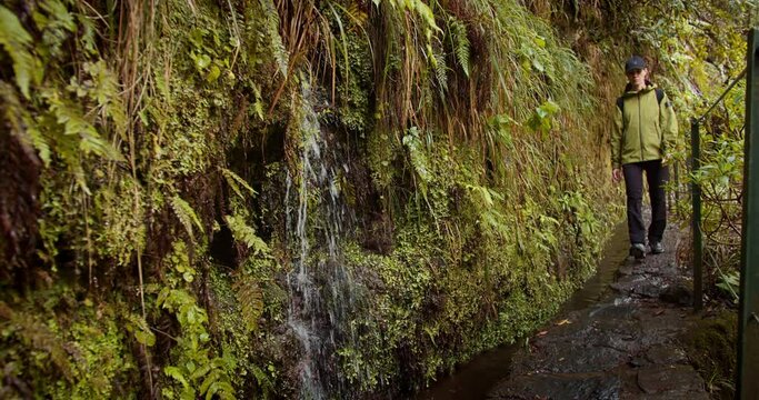 Water dripping on levada trail in green forest with hiker on background. Close-up shot