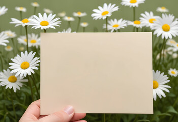 hand holding blank paper with daisy