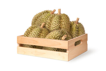 durian isolated on white background