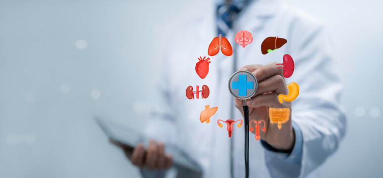 Full medical check-up all body organs concept.Complex health checkup of brain, heart, digestive system, lungs, bladder, and intestine.