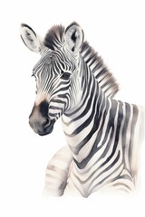 Beautiful watercolor illustration of a zebra in black and white, showcasing intricate stripes and unique patterns.