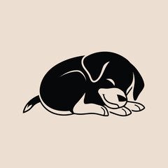 a cute dog sleeping on a black background
