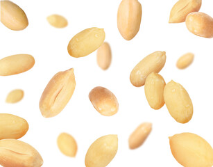 Many peanuts in air on white background