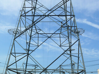 高圧電線用鉄塔の野生動物対策。