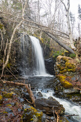 waterfall in the forest
