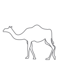 Camel Vector Illustration, Camel Vector Element, Camel Vector Silhouette