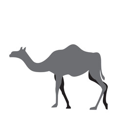 Camel Vector Illustration, Camel Vector Element, Camel Vector Silhouette