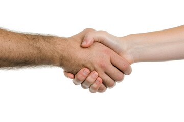 Two hands shaking hands on a white background. Concept of trust and respect between the two individuals