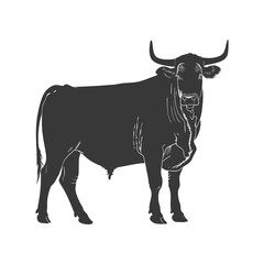 Silhouette bull animal black color only