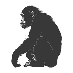 Fototapeta premium Silhouette Chimpanzee animal black color only