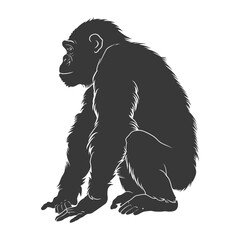 Silhouette Chimpanzee animal black color only