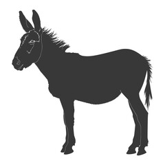 Silhouette donkey animal black color only