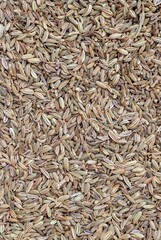 Top View of Fennel Seed Background with Copy Space in Vertical Orientation