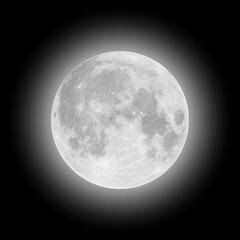 Realistic detailed full big moon isolated on transparent background. Creative Vector illustration © FourLeafLover