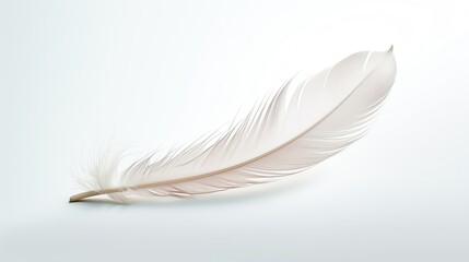 Obraz premium A single white feather isolated on a white background.
