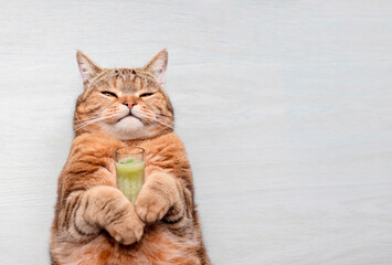 Obraz premium Red cat with a cocktail in his paws