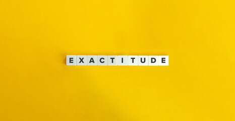 Exactitude Term and Word. The quality or condition of being precise, accurate, and meticulous.