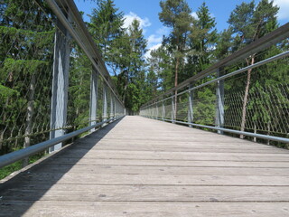 Obraz premium Baumwipfelpfad