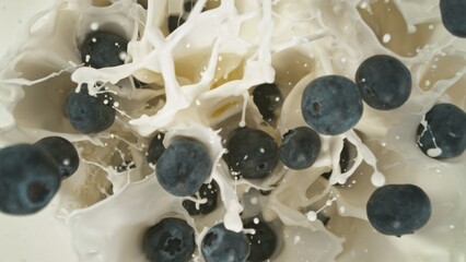 Fresh pieces of blueberries falling into milk, top down view, black background