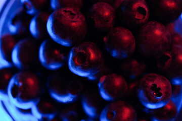 Macro closeup of blueberries arranged in a cup close-up of the fruit