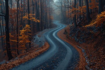 Winding Road Through Forest
