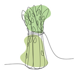 Asparagus Bunch sketch One Continuous line drawing art illustration with Abstract Color Shapes. Vector Illustration on White background. Organic Green Vegetable, Cooking book, Card, Logo, Poster.