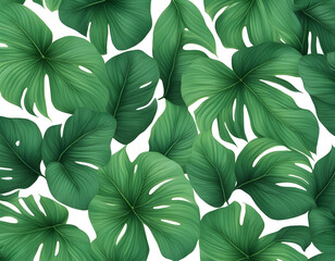 abstract green leaf texture, nature background, tropical leaf