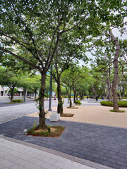 A park with a sidewalk and a few trees. The sidewalk is made of bricks and the trees are green