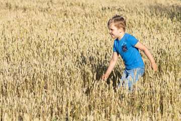 Naklejka na ściany i meble Happy child in the rye field, Summer holidays, in the village with grandma, carefree childhood